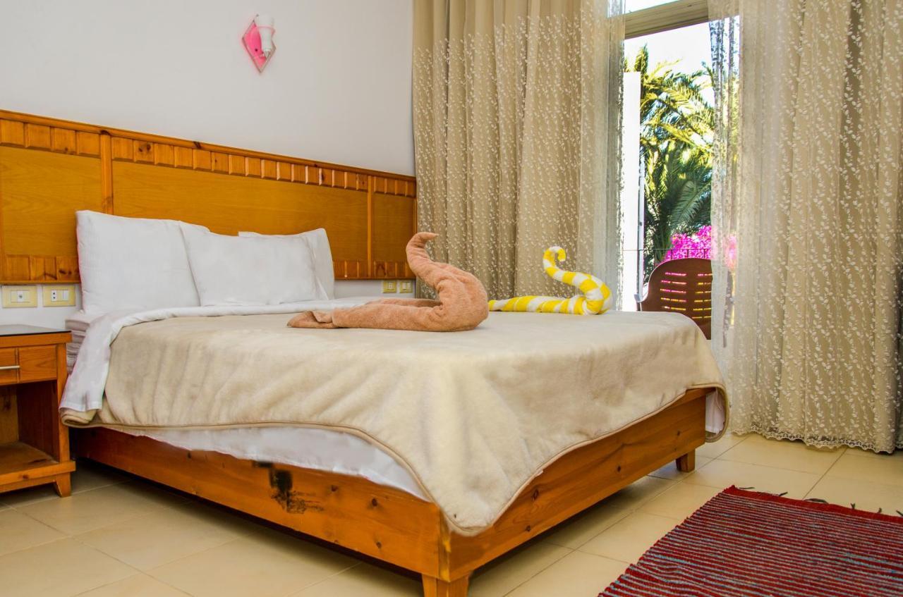 New Yalla Hotel Дахаб Екстериор снимка