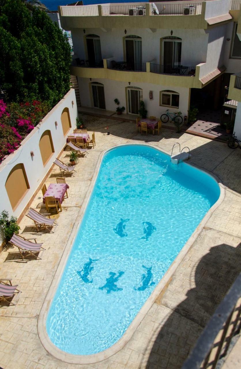 New Yalla Hotel Дахаб Екстериор снимка